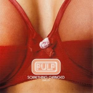 Something Changed - Pulp