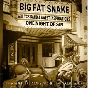 A Love So Beautiful - Big Fat Snake