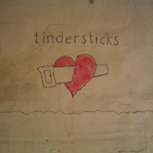 The Turns We Took - Tindersticks