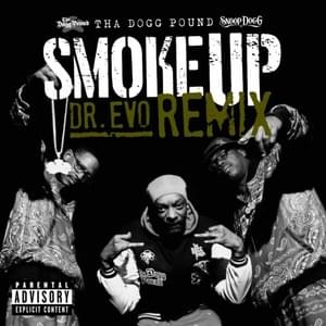 Smoke Up (Dr. Evo Remix) - Snoop Dogg & Tha Dogg Pound