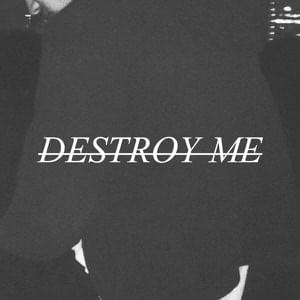 Destroy Me - Mr.Kitty