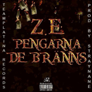 Pengarna de bränns - Z.E