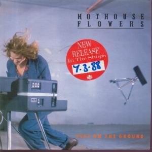 Strange Feeling - Hothouse Flowers