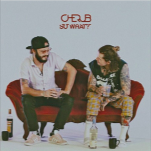 So What? - Cherub