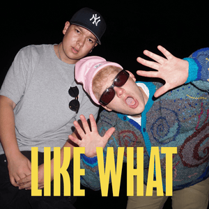 Like What - Joey Valence & Brae