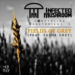 Fields of Grey - Infected Mushroom (Ft. Sasha Grey)