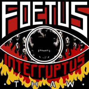 English Faggot / Nothin Man - Foetus