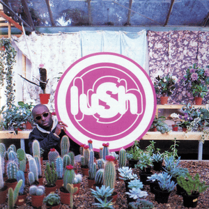 I’ve Been Here Before - Lush