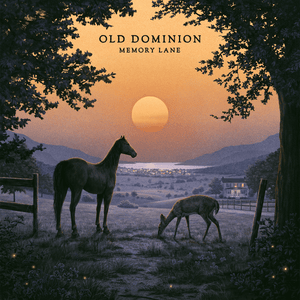 Sleep Without Drinking - Old Dominion