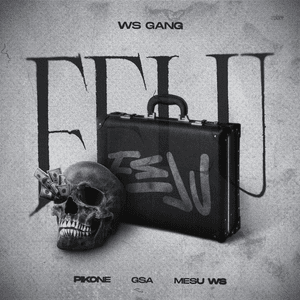 FELU - WS GANG, Pikone & Meșu WS (Ft. GSA)