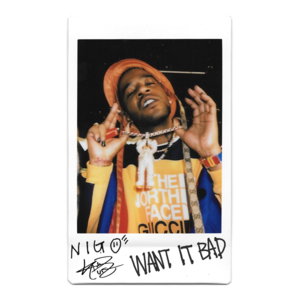 Want It Bad - Kid Cudi & Nigo