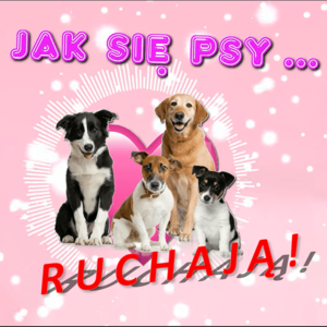 Jak się psy ruchają (Hidden Track) - Kuki