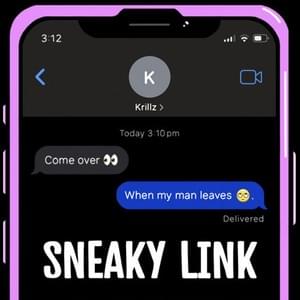 Sneaky Link - Krillz