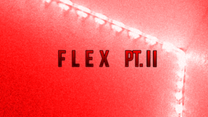 Flex Part. 2 - Dayzu