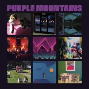 She’s Making Friends, I’m Turning Stranger - Purple Mountains