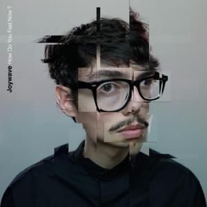 In Clover - Joywave