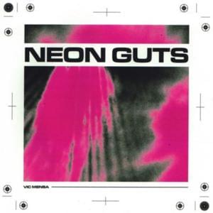 Neon Guts (Remix) - VIC MENSA