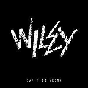 Can’t Go Wrong - Wiley