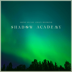 Shine on You Crazy Diamond (Radio Edit) - Shadow Academy