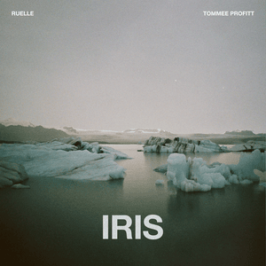 Iris - Tommee Profitt & Ruelle