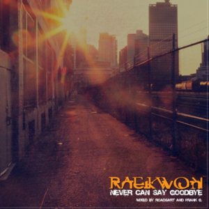 Never Can Say Goodbye - Raekwon