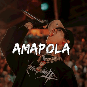 Amapola - NataMontatyson