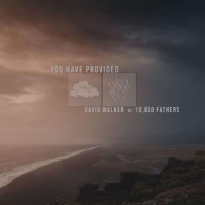 You Have Provided - David Walker & 10,000 Fathers