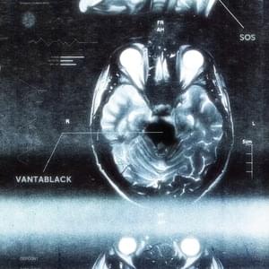 VANTABLACK - Skorap