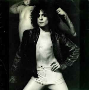 Celebrate Summer - T. Rex