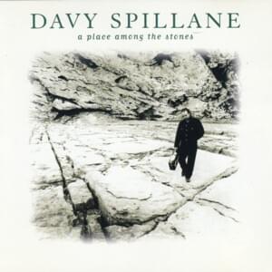 Forever Frozen - Davy Spillane (Ft. Steve Winwood)