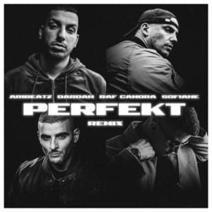 Perfekt (Remix) - AriBeatz (Ft. Dardan, RAF Camora & Sofiane)