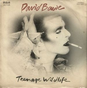 Teenage Wildlife - David Bowie