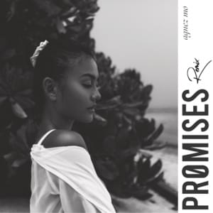 Promises (Remix) - AGNEZ MO