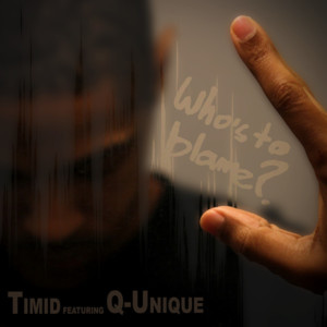 Who’s To Blame? - Timid (Ft. Q-Unique)