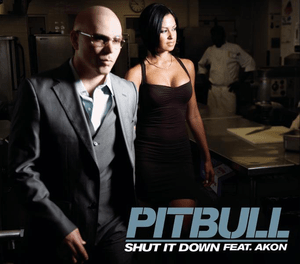 Shut It Down - Pitbull (Ft. Akon)