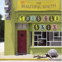 This Old Skin - The Beautiful South