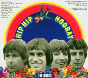 You Can Cry if You Want To - The Troggs