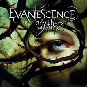 Taking Over Me (Live from Le Zénith, France 2004) - Evanescence