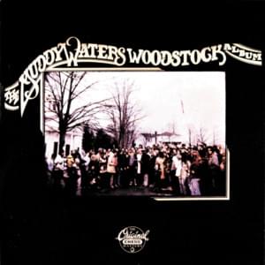 Let The Good Times Roll - Muddy Waters