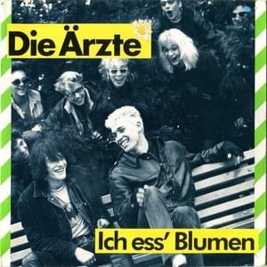 Das ist Rock´n´Roll - Die Ärzte