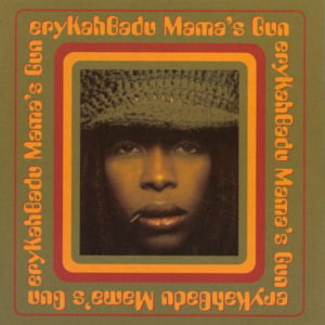 The Warriors Reminder - Erykah Badu