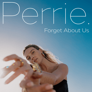 Forget About Us (Acapella) - Perrie