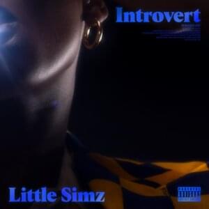 Introvert - Little Simz