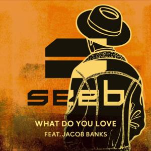 What Do You Love - Seeb (Ft. Jacob Banks)