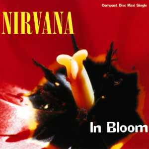 Nirvana - In Bloom (Traduzione Italiana) - Lyrxo Traduzioni Italiane