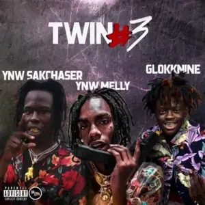 Twin #3 - YNW Sakchaser (Ft. 9lokkNine & YNW Melly)