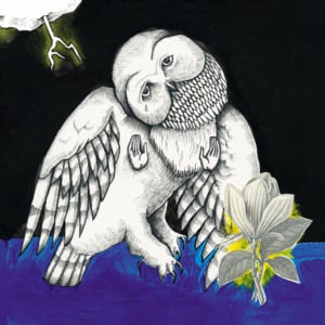 I’ve Been Riding With the Ghost - Songs: Ohia