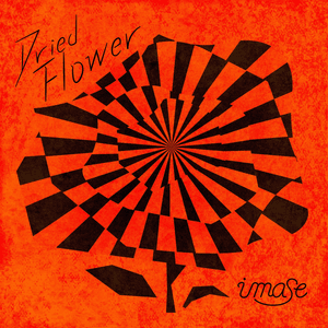 Dried Flower - ​imase