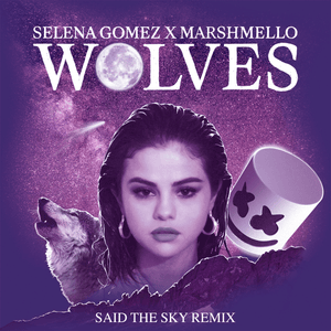 Wolves (Said the Sky Remix) - Selena Gomez & Marshmello