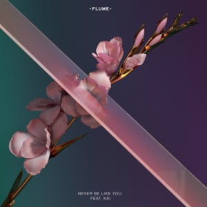 Never Be Like You - Flume (Ft. ​kai)